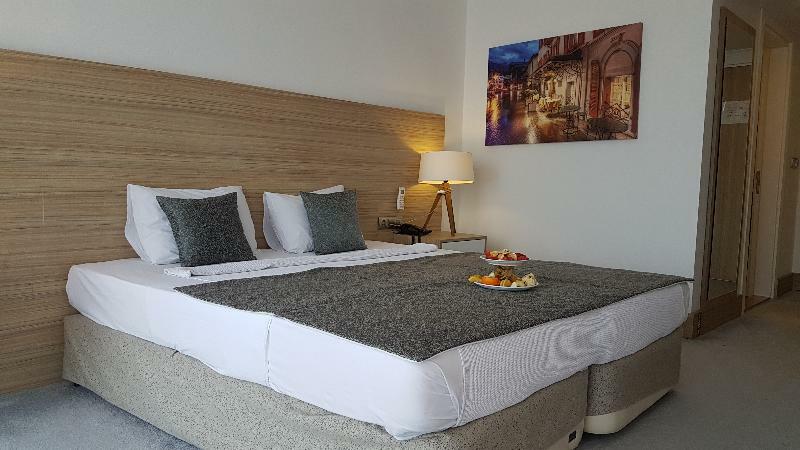 Ozyigit Otel 3*